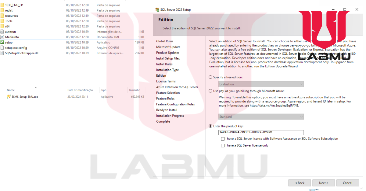 Labmu downloads sql server